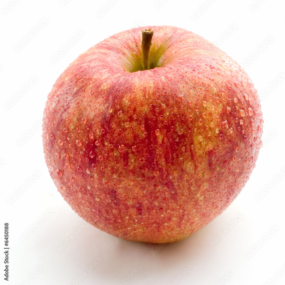 A fresh red wet apple A fresh red wet apple