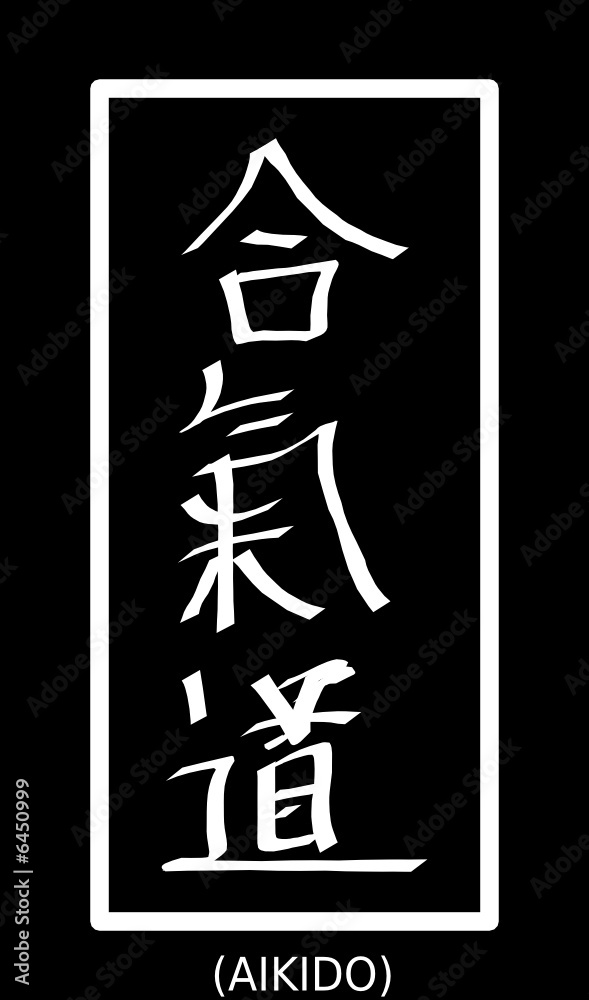 aikido2 aikido2