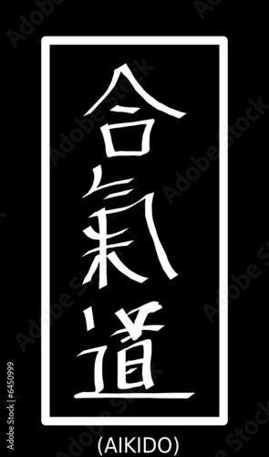 aikido2