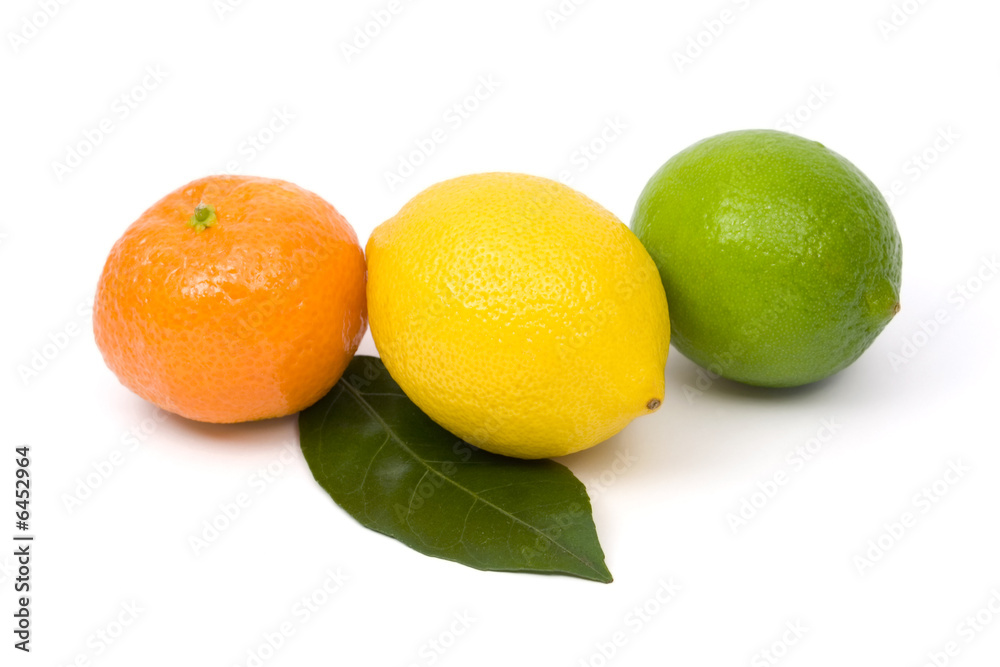 Tangerine, lemon and lime isolaten on white Tangerine, lemon and lime isolaten on white