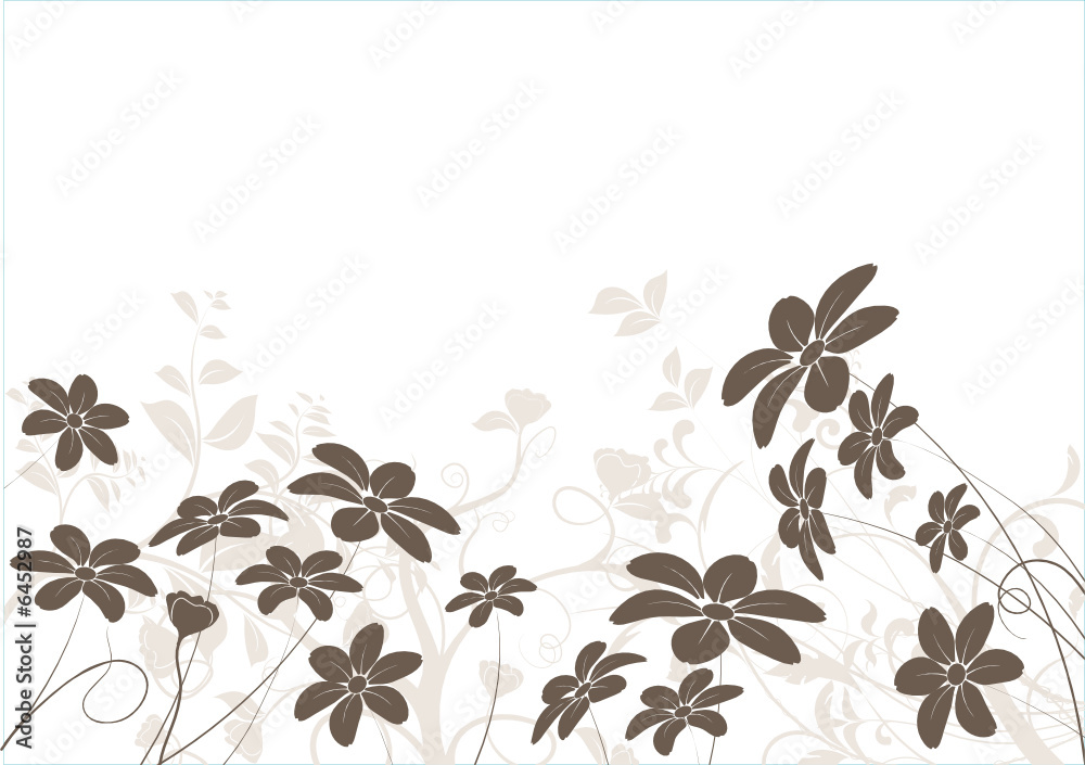 vecteur série - marguerite - fleur vectoriel sur fond blanc vecteur série - marguerite - fleur vectoriel sur fond blanc