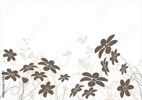 vecteur série - marguerite - fleur vectoriel sur fond blanc