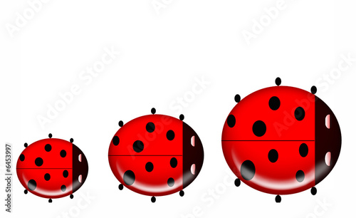 Ladybug family