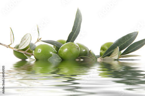 olive #6456920