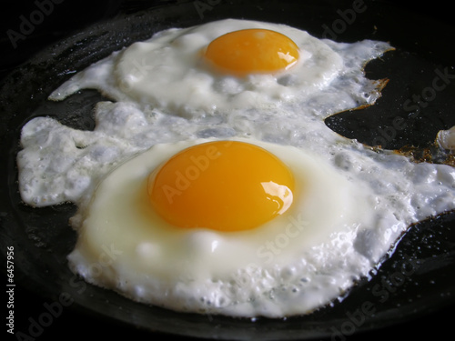 omelet