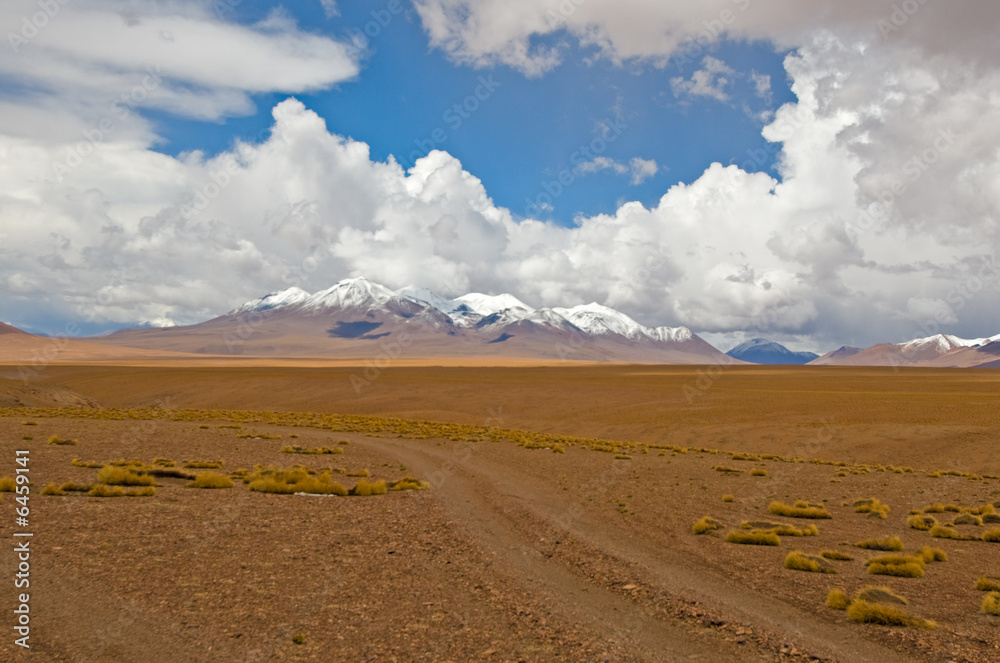 driving desert road