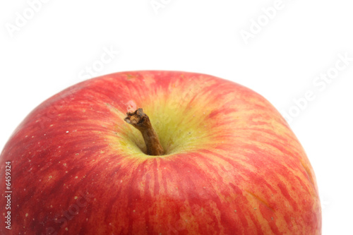 Apple. macro