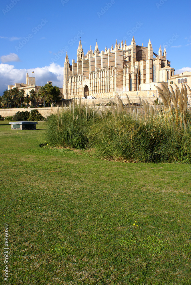 Catedral desde el Parque del Mar