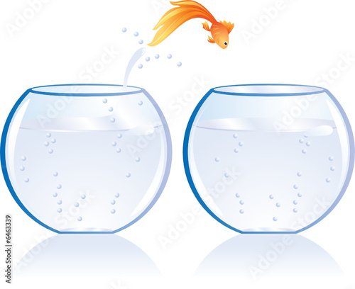 Fly Fish