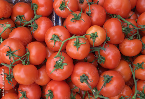 Tomatoes on the vine in a market stall.