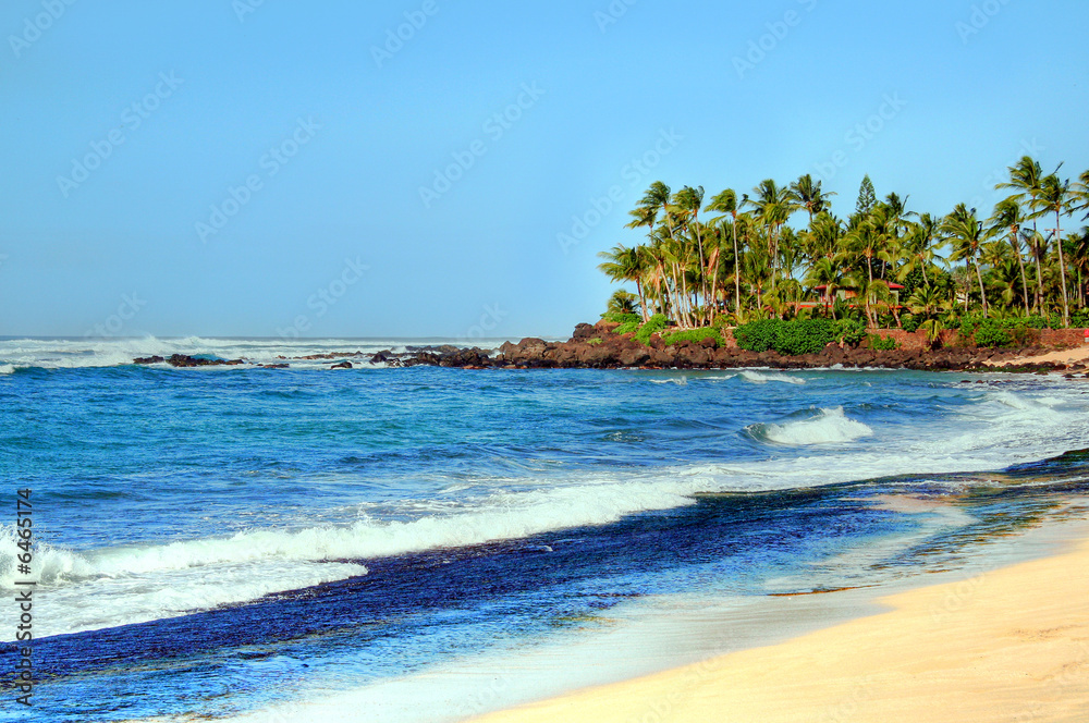 Tropical palms and rocks along a bright turquoise ocean