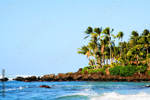 Tropical palms and rocks along a bright turquoise ocean