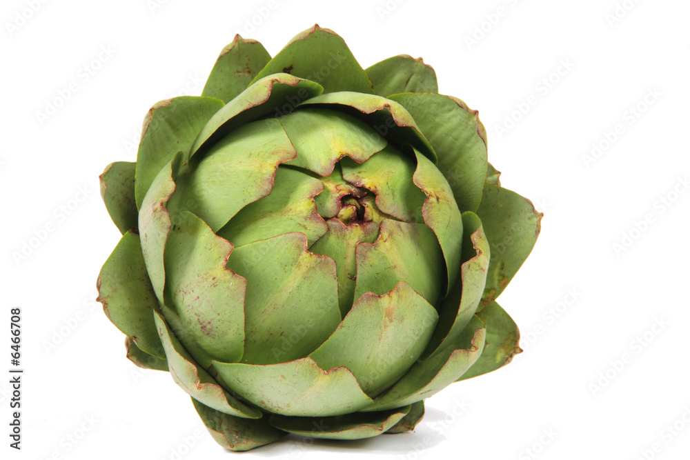 Fototapeta premium Artichaut