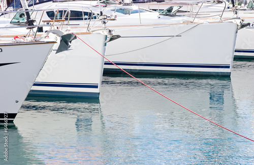 A number of luxury boats moored in a marina