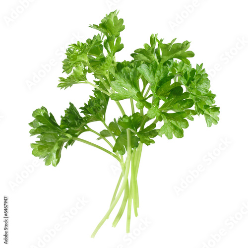 small bunch of parsley