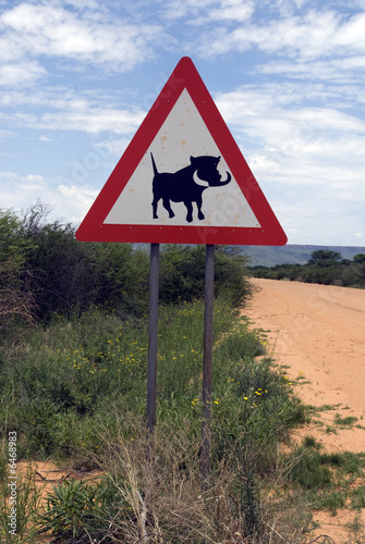 Achtung Wildwechsel in Namibia