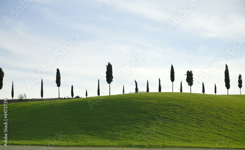 Toscana campagna 13