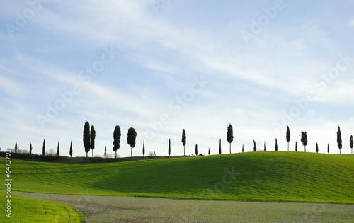 Toscana campagna 14