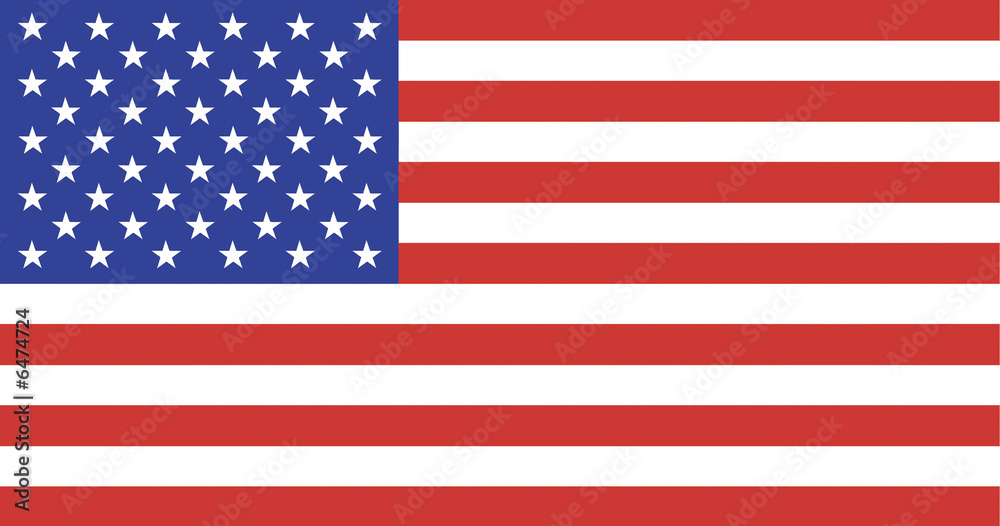 Naklejka premium US Flag