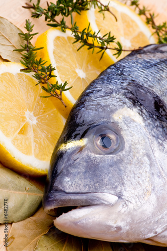Schöner frischer Fisch mit offenem Maul