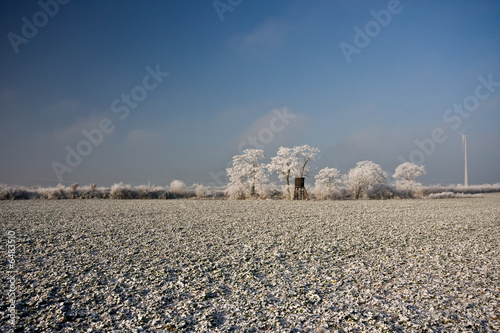 frostiger tag photo