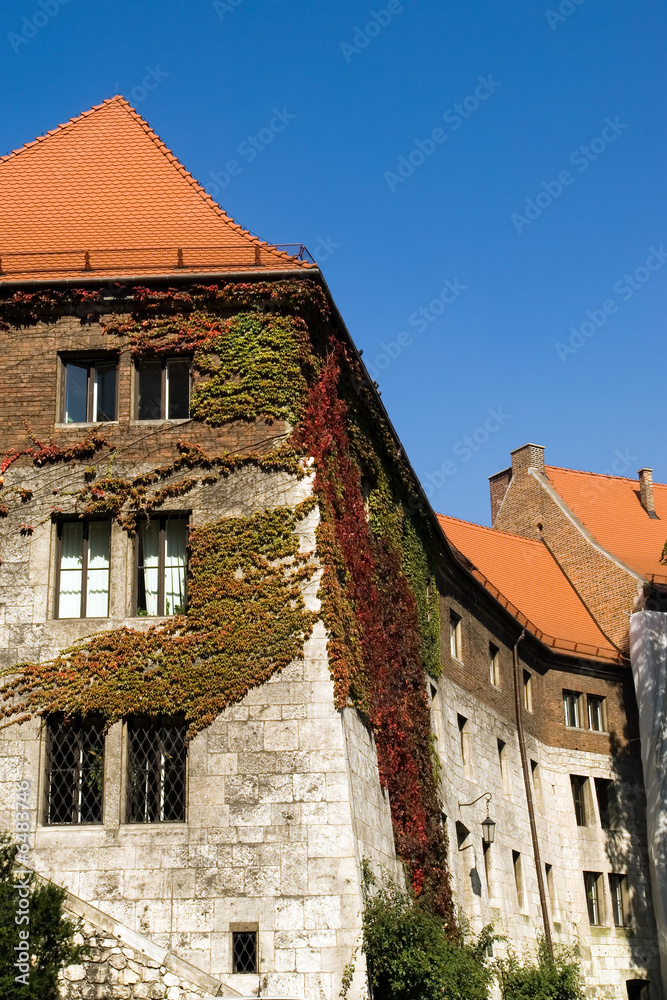 Red tiled roofs of Wawel castle, Krakow, Poland