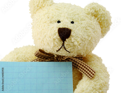Front view of teddy bear toy with a blank note, isolated