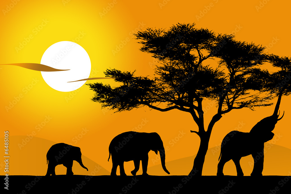 Afrique - 3 éléphants