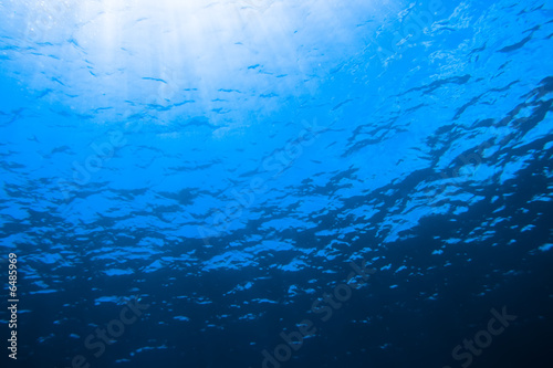 Underwater scene with sunlight through the water © Olga Khoroshunova