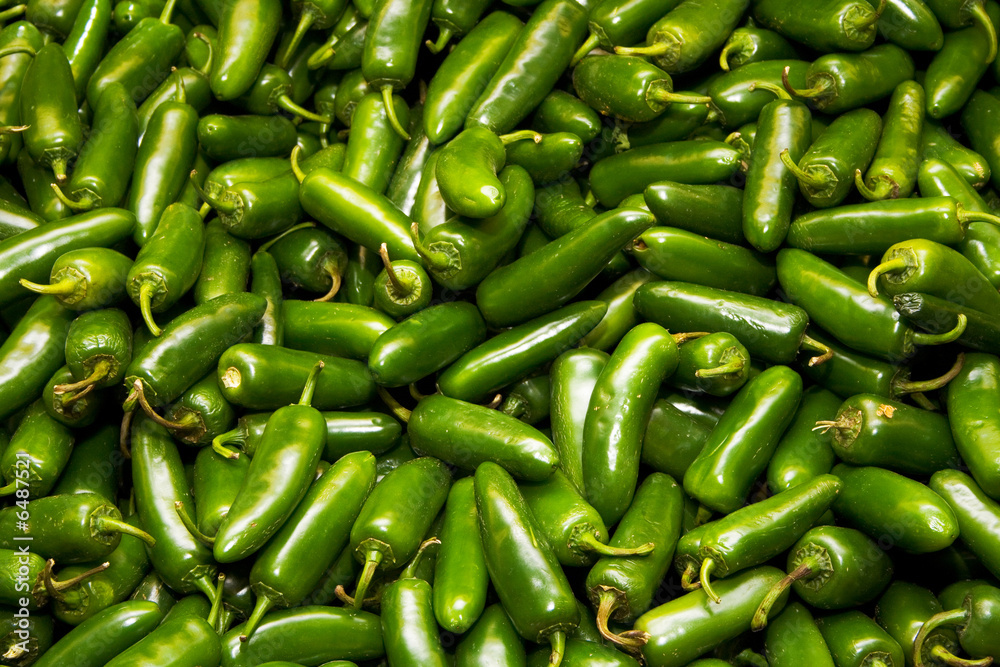 Bunch of Green Jalapeño Peppers Bunch of Green Jalapeño Peppers