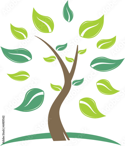 ARBRE EN FEUILLES 2