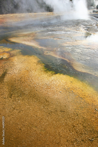 Yellowstone Geyser Thermal ...