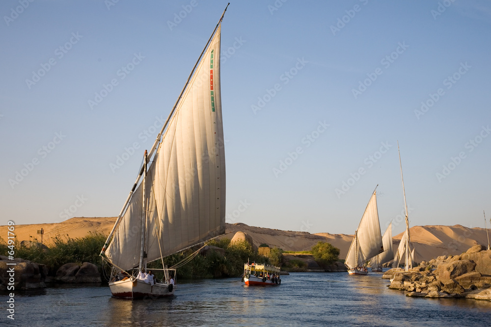 Fototapeta premium Felucca down the Nile