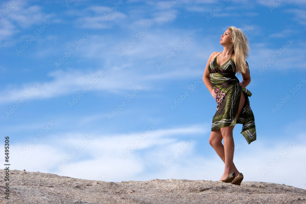 Sexy beautiful woman in stylish dress Sexy beautiful woman in stylish dress