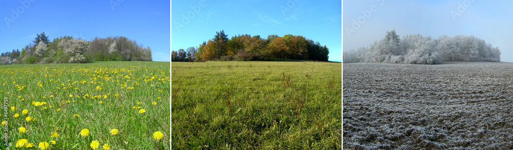 Fototapeta premium Three seasons