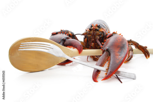 lobster holding ustensils photo