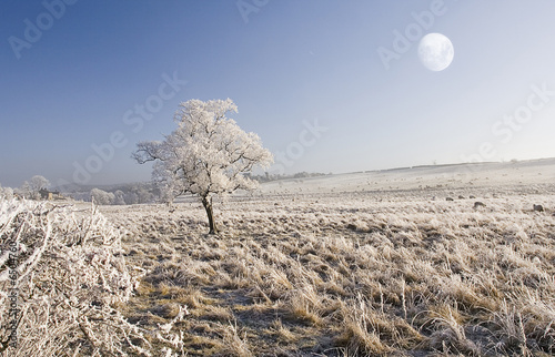 Obraz na płótnie Frozen Lanscape