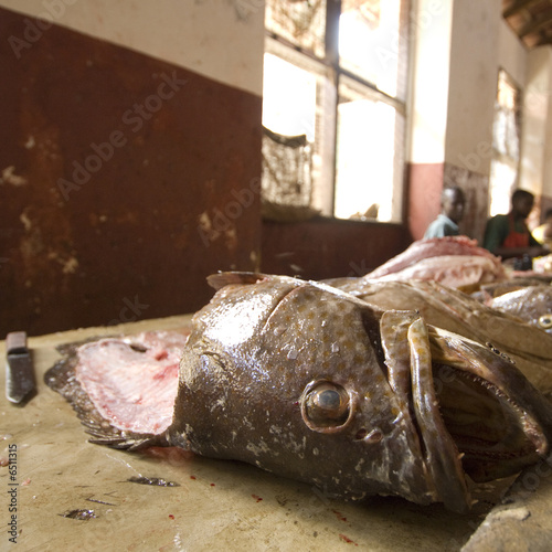 Fresh fish meat on a fish market photo