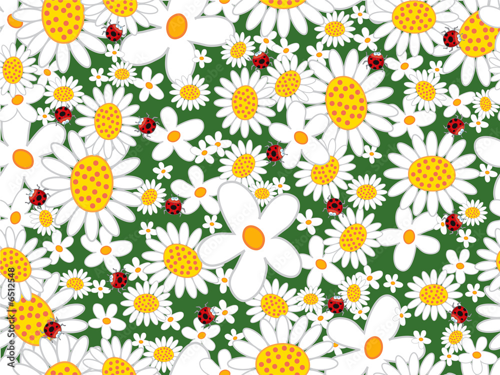 Obraz premium white daisies and ladybugs - seamless tiled pattern