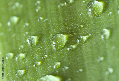 H2O Hintergrund grün