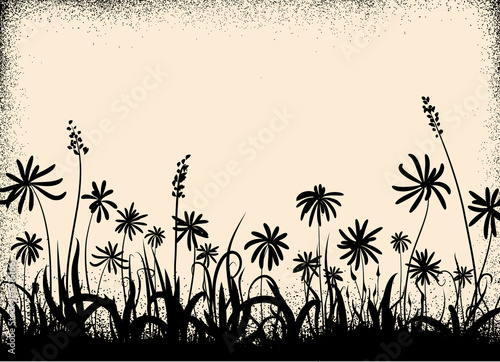 floral background