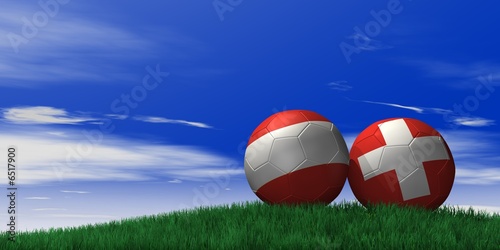 Fussball in der Natur