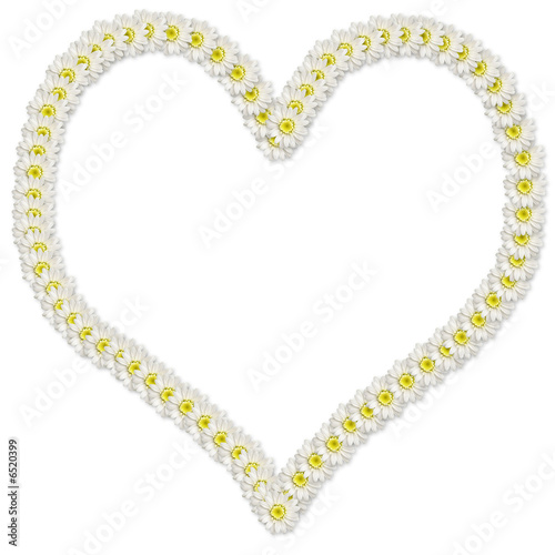 Coeur de paquerettes