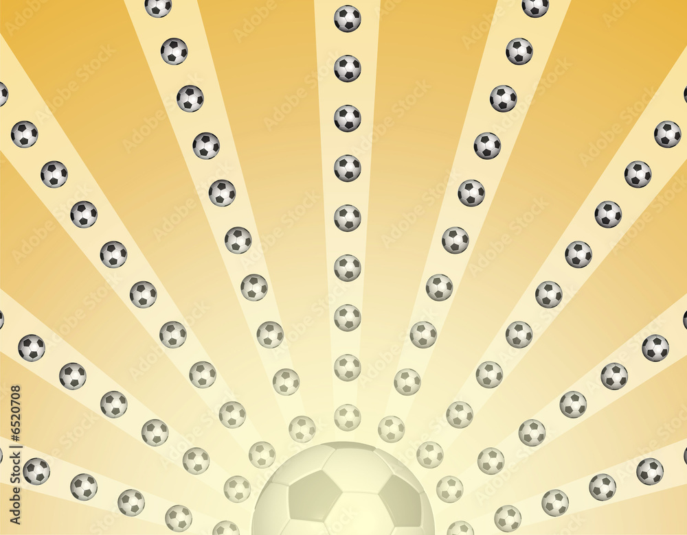 Fototapeta premium sonnenball