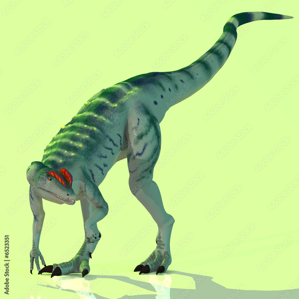 Obraz premium Dilophosaurus