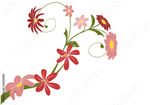 vecteur série - bouquet de fleurs sur un fond blanc