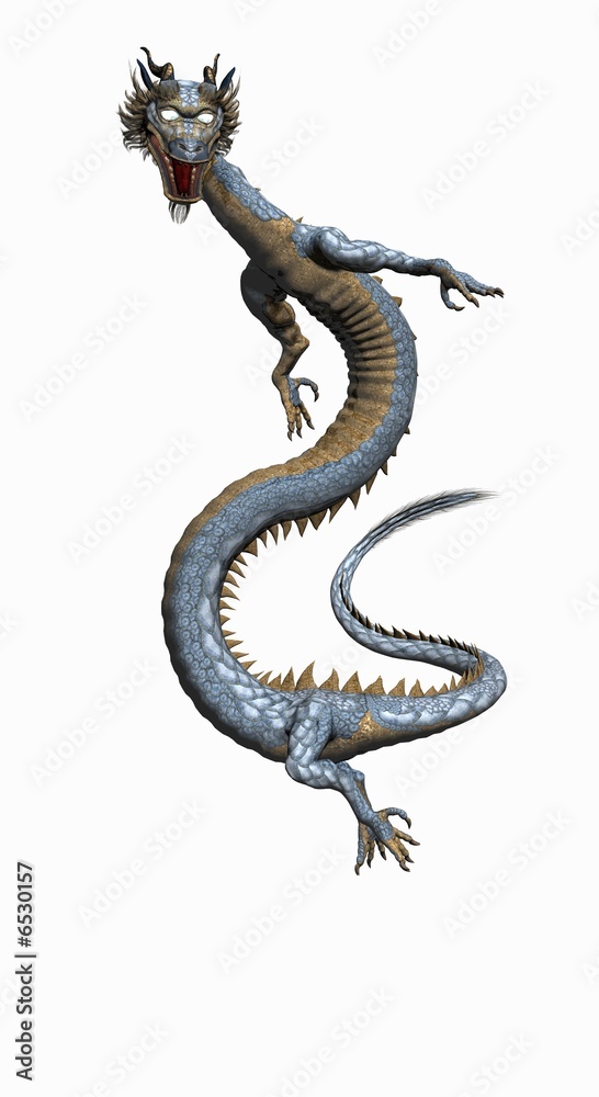 Fototapeta premium asian dragon