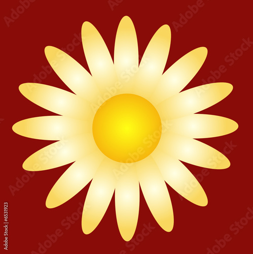 Blume, Blätter, Blüte