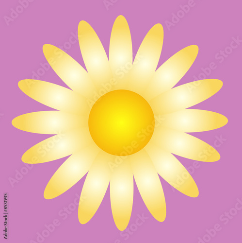 Blume, Blätter, Blüte