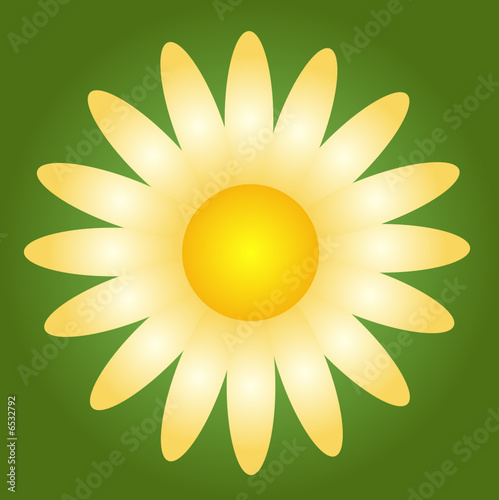 Blume, Blätter, Blüte